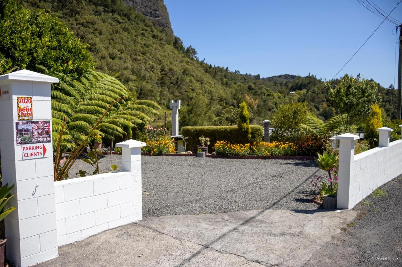 Les Begonias Villa Cilaos Kültér fotó