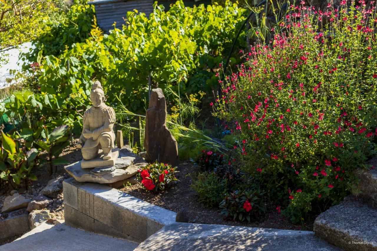 Les Begonias Villa Cilaos Kültér fotó