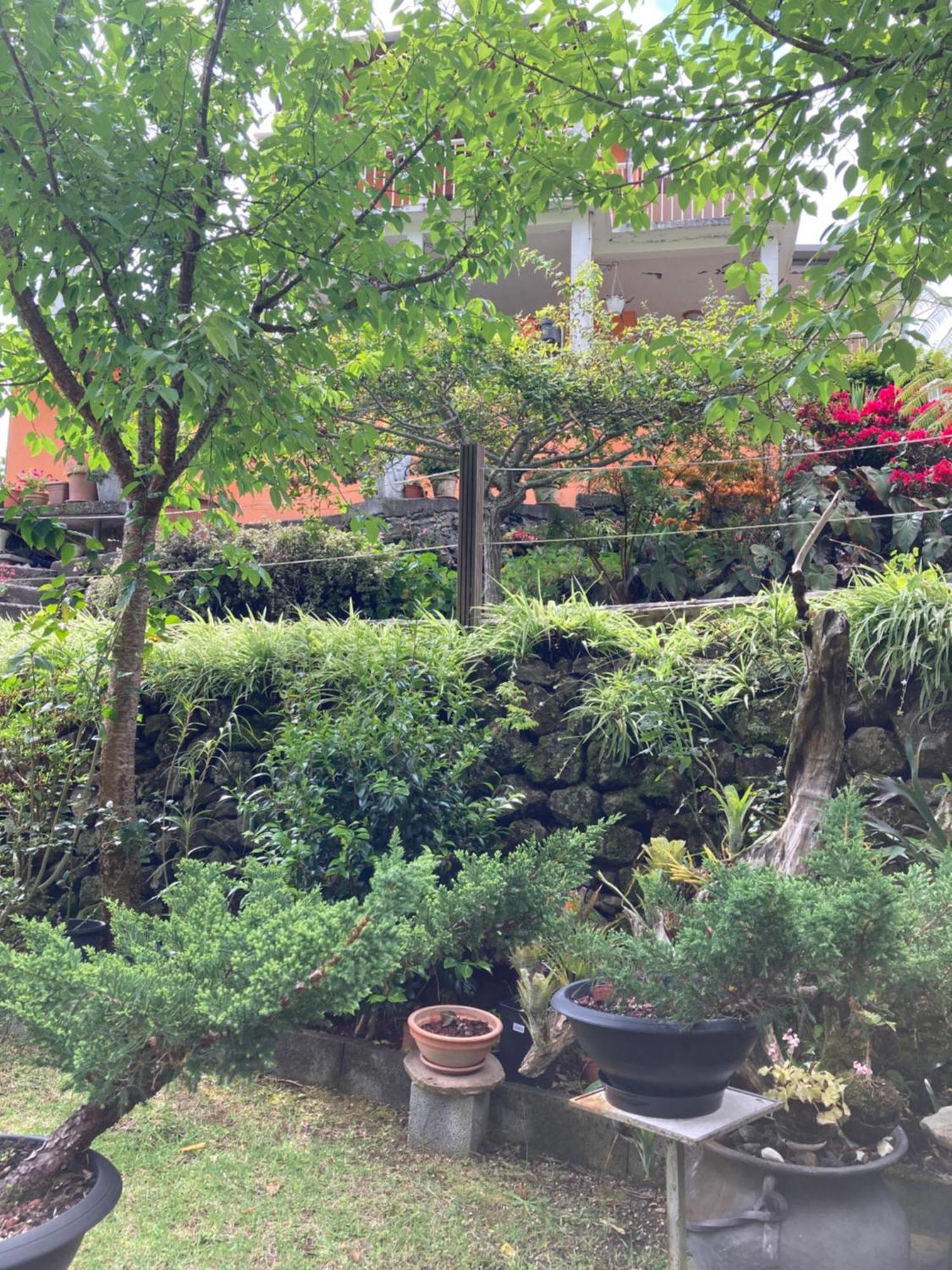 Les Begonias Villa Cilaos Kültér fotó