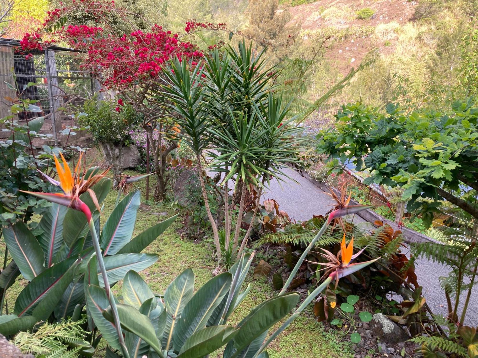 Les Begonias Villa Cilaos Kültér fotó