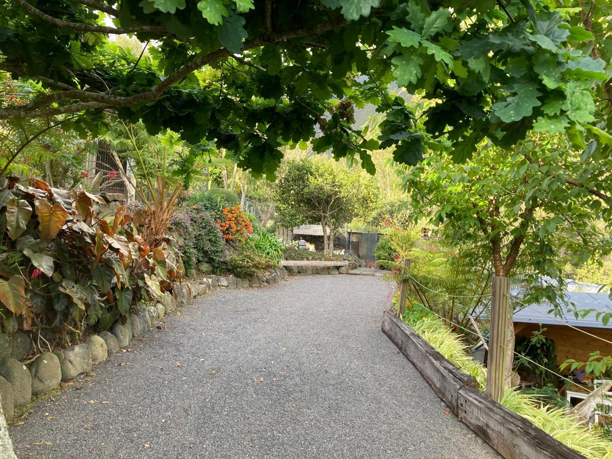 Les Begonias Villa Cilaos Kültér fotó
