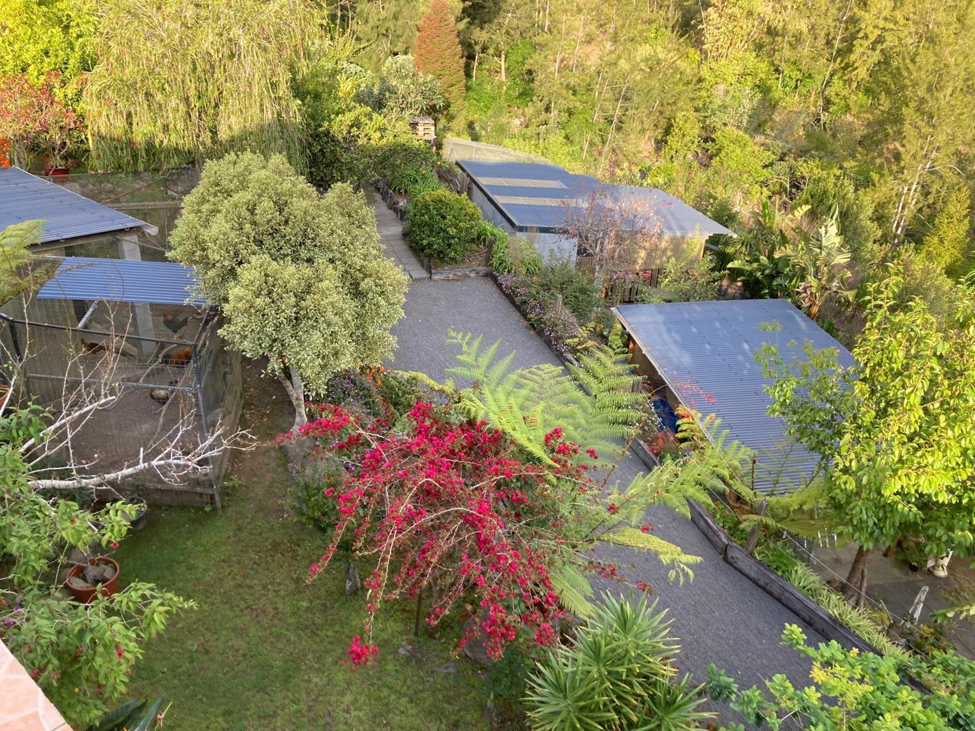 Les Begonias Villa Cilaos Kültér fotó