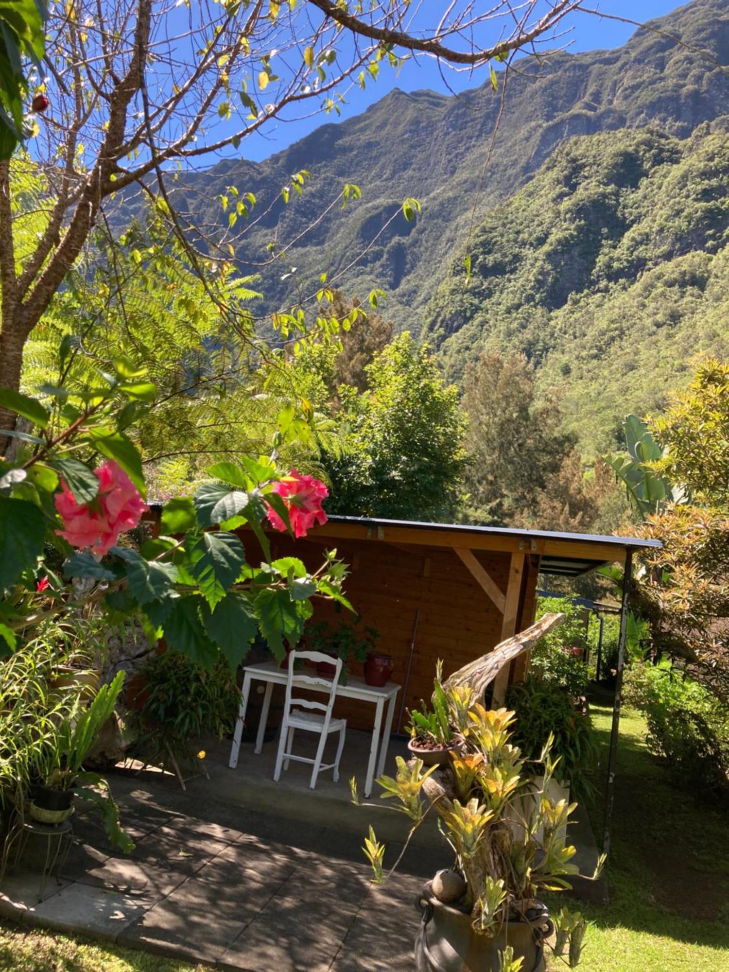 Les Begonias Villa Cilaos Kültér fotó