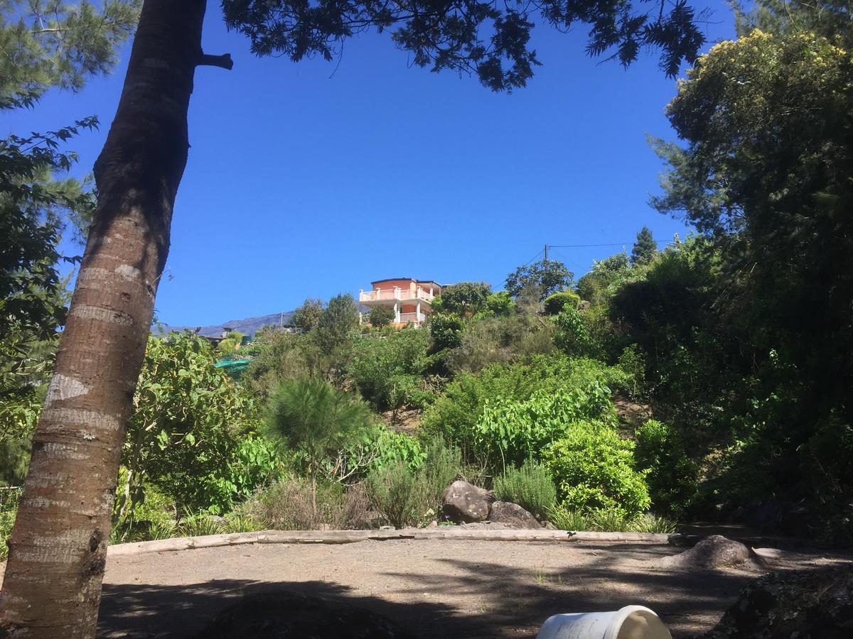 Les Begonias Villa Cilaos Kültér fotó